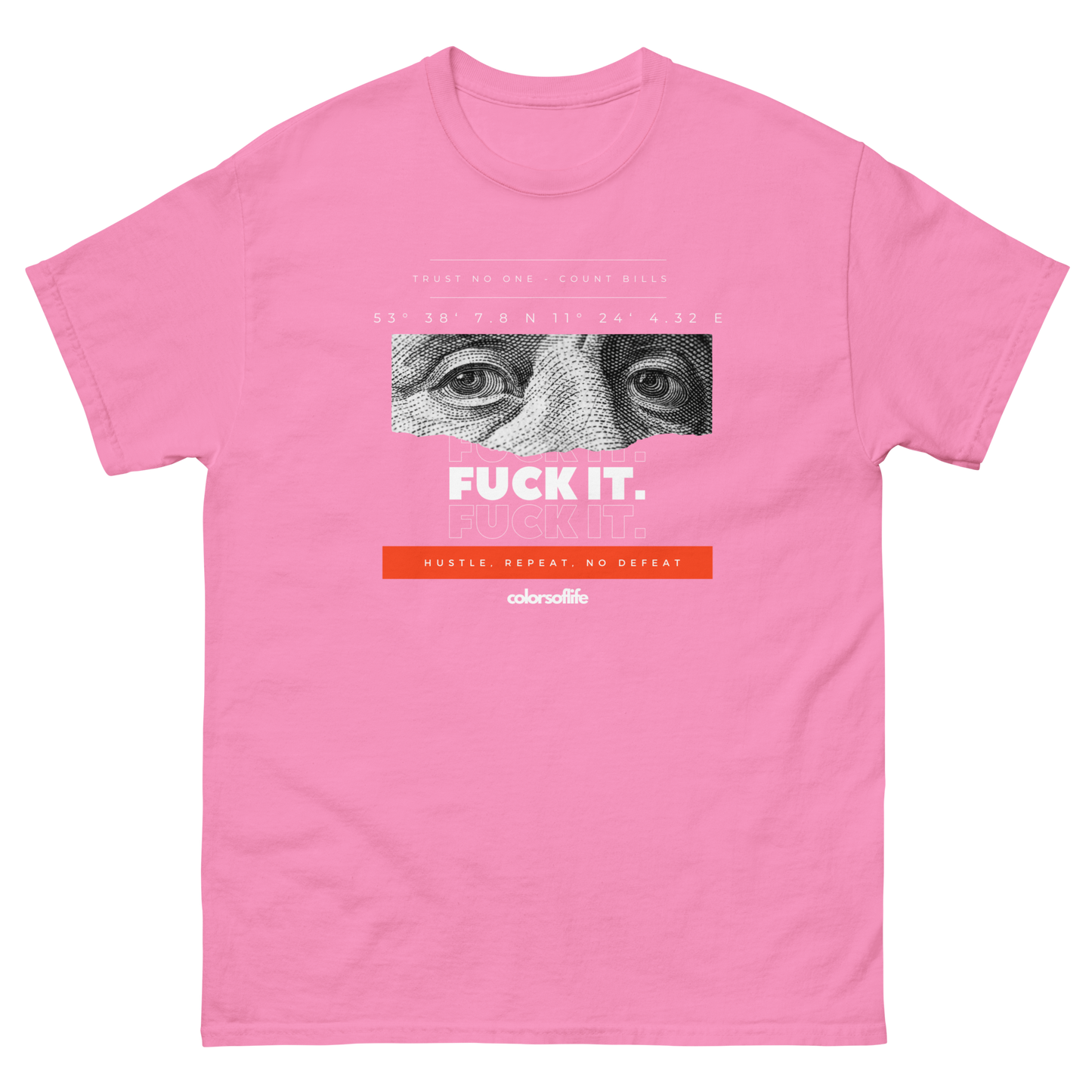 FUCK IT - COUNT BILLS! - Klassisches Unisex T-Shirt